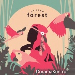 OVCOCO – Forest