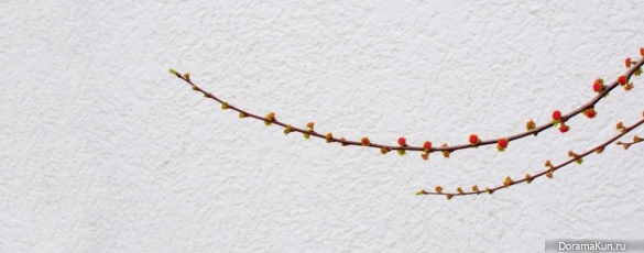 naikan
