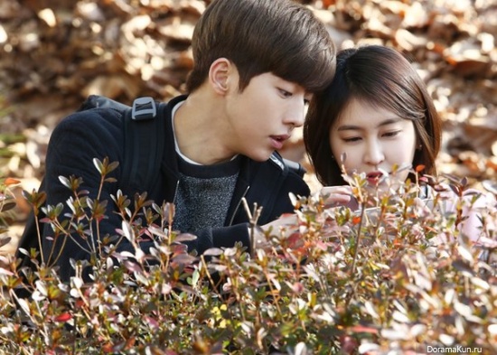Cheese in the Trap