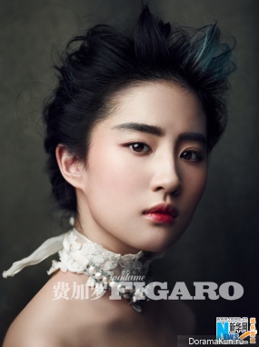 Liu Yi Fei