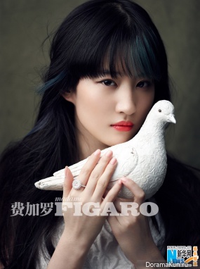 Liu Yi Fei