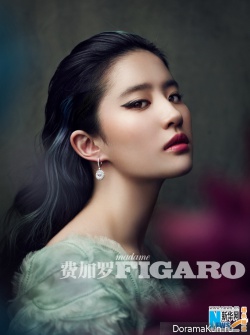 Liu Yi Fei
