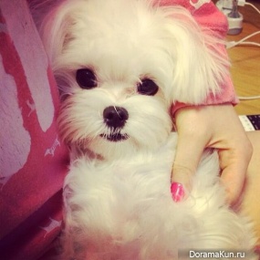 Санни из Girls Generation Санни из Girls Generation