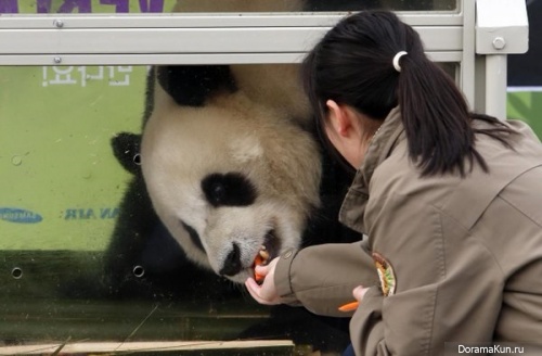 pandas1