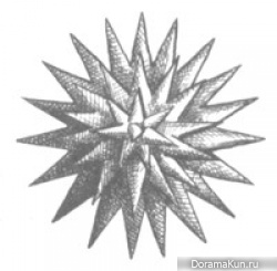Коараэ