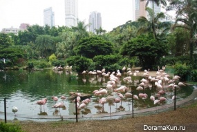 Kowloon Park