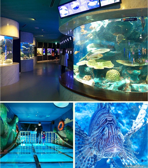 63 Sea World