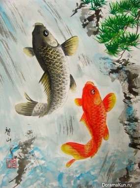 koi