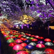 Jinhae-Cherry-Blossom-Festival