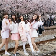Jinhae-Cherry-Blossom-Festival