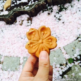 Jinhae-Cherry-Blossom-Festival