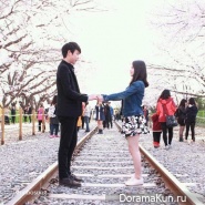 Jinhae-Cherry-Blossom-Festival