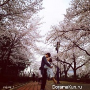Jinhae-Cherry-Blossom-Festival