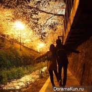 Jinhae-Cherry-Blossom-Festival