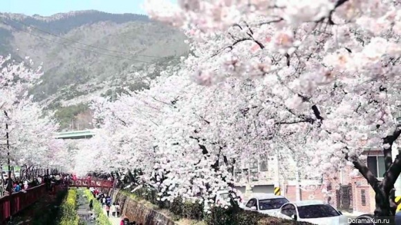 Yeojwacheon-Stream