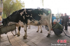China News Service