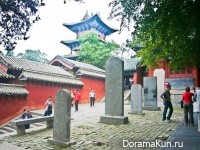 李世民