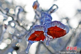 first frost China