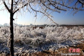 first frost China