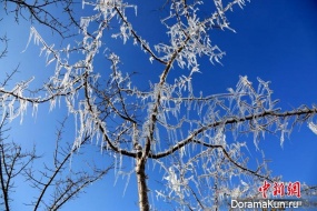 first frost China
