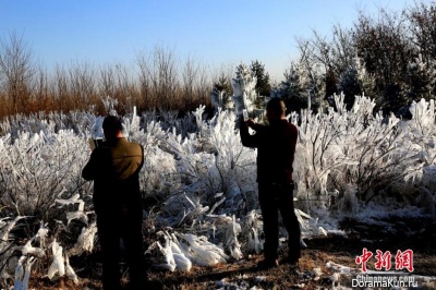 first frost China