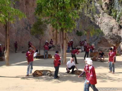 Tiger temple