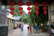 Tiger temple