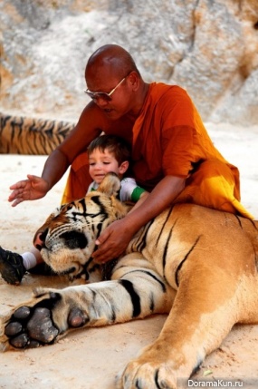 Tiger temple