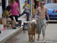 Kunming shepherd
