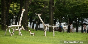Park Yeouido