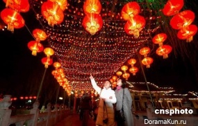 The Lantern Festival