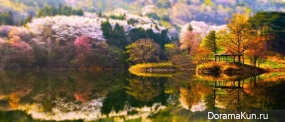 Jae Woon U