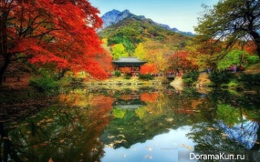 Jae Woon U