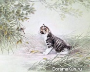 Fu Yuan