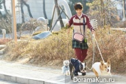 Cinderella and Four Knights