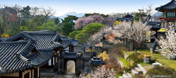 Spring flowering in Korea