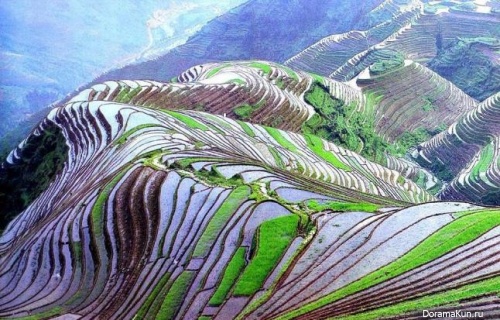 Yunnan province