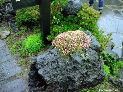 Jeju-do