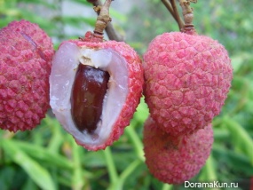 China Dragon Eye - Lychee