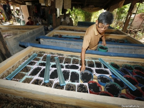 farm insects