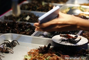 farm insects