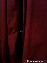 ninja cats