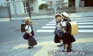knowledge day/Japan