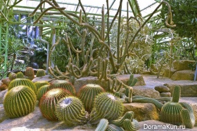 Nong Nooch Tropical Garden