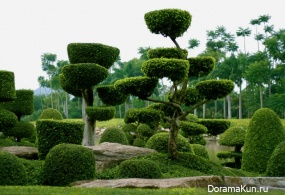 Nong Nooch Tropical Garden
