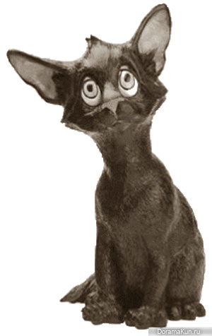 Myth cat