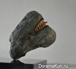 smiling stones