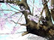 Abe Toshiyuki