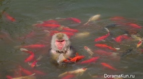 Wildlife Park Hefei