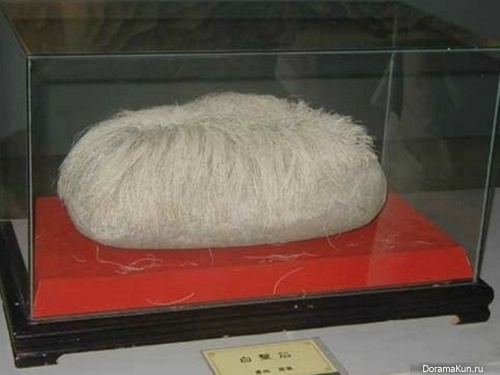hairy stone